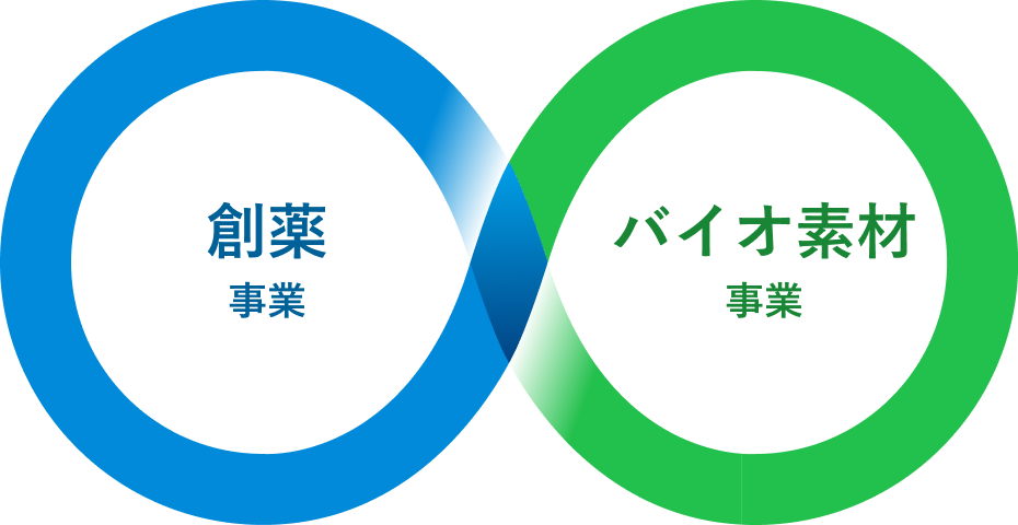 創薬事業とバイオ素材事業のシナジー